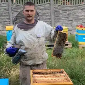 Zdjęcie przedstawia pszczelarza ubranego w ochronny kombinezon, który trzyma ramkę z pszczołami. W drugiej ręce dzierży podkurzacz, służący do uspokajania owadów dymem. W tle widoczne są kolorowe ule ustawione w uporządkowany sposób na trawie oraz betonowe ogrodzenie. Scena oddaje atmosferę pracy w pasiece, podkreślając zaangażowanie pszczelarza w opiekę nad pszczołami.